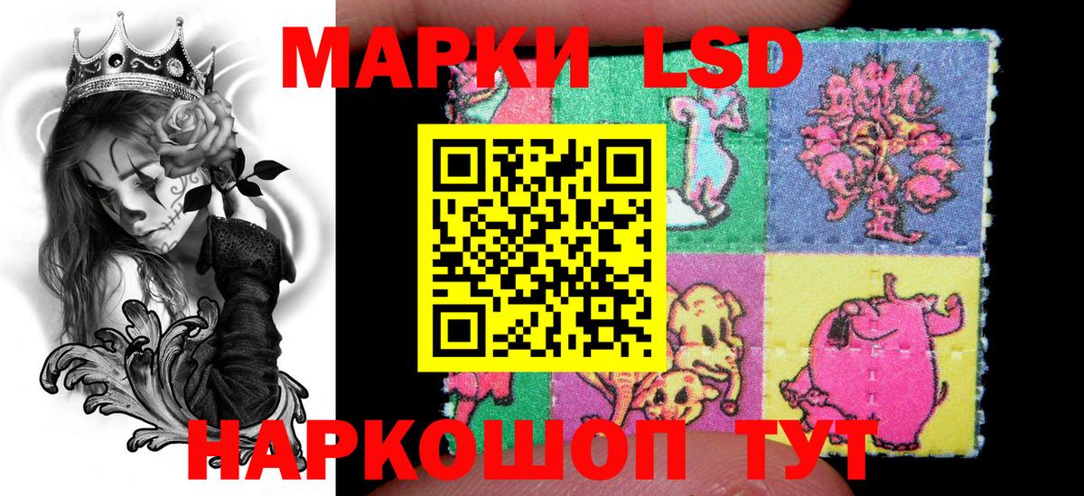 Марки NBOMe 1,5мг  Вход с VPN  Марки NBOMe  Карачаевск 