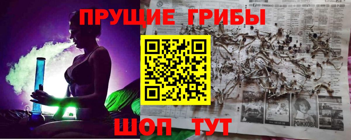 Псилоцибиновые грибы прущие грибы Карачаевск